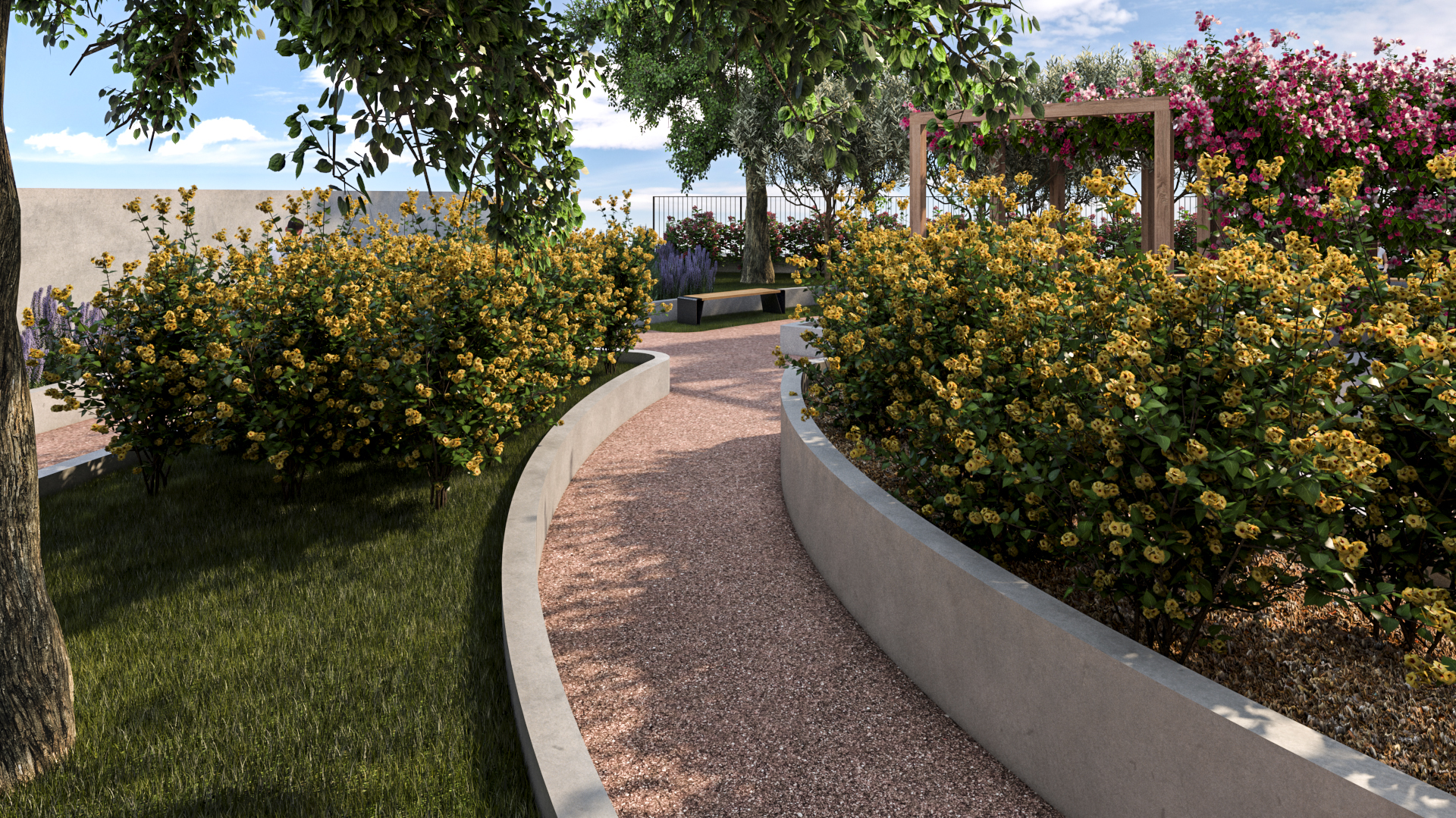Album image 7